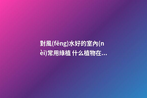 對風(fēng)水好的室內(nèi)常用綠植 什么植物在室內(nèi)生長很好